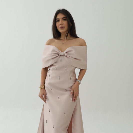 Fionka Velvet Rose Dress